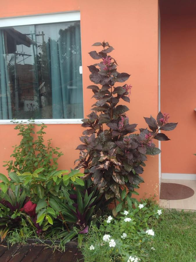 Guest House Flor De Laranjeira Сан-Педру-да-Алдея Экстерьер фото
